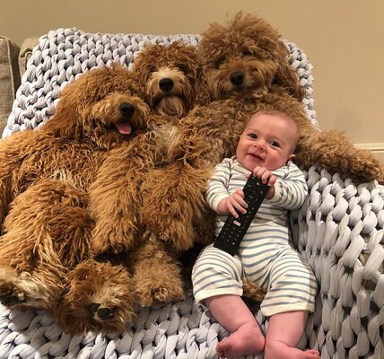 Miniatura: Niezwykła przyjaźń między noworodkiem i...