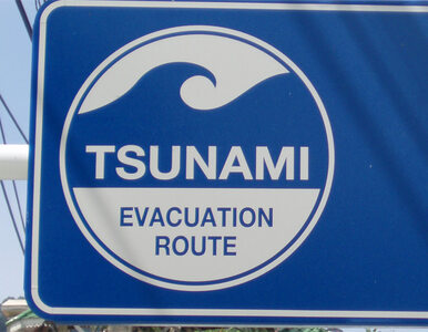 Miniatura: Silne trzęsienie ziemi w Kanadzie, tsunami...
