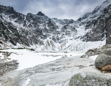 Miniatura: Ocieplenie w Tatrach przyniesie kłopoty....