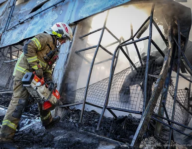 Miniatura: Litewskie służby ujawniają: To Rosjanie...