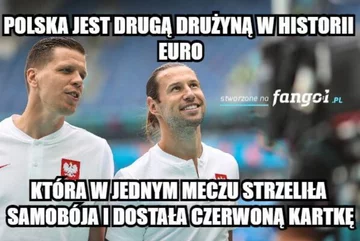 Memy po meczu Polska-Słowacja 