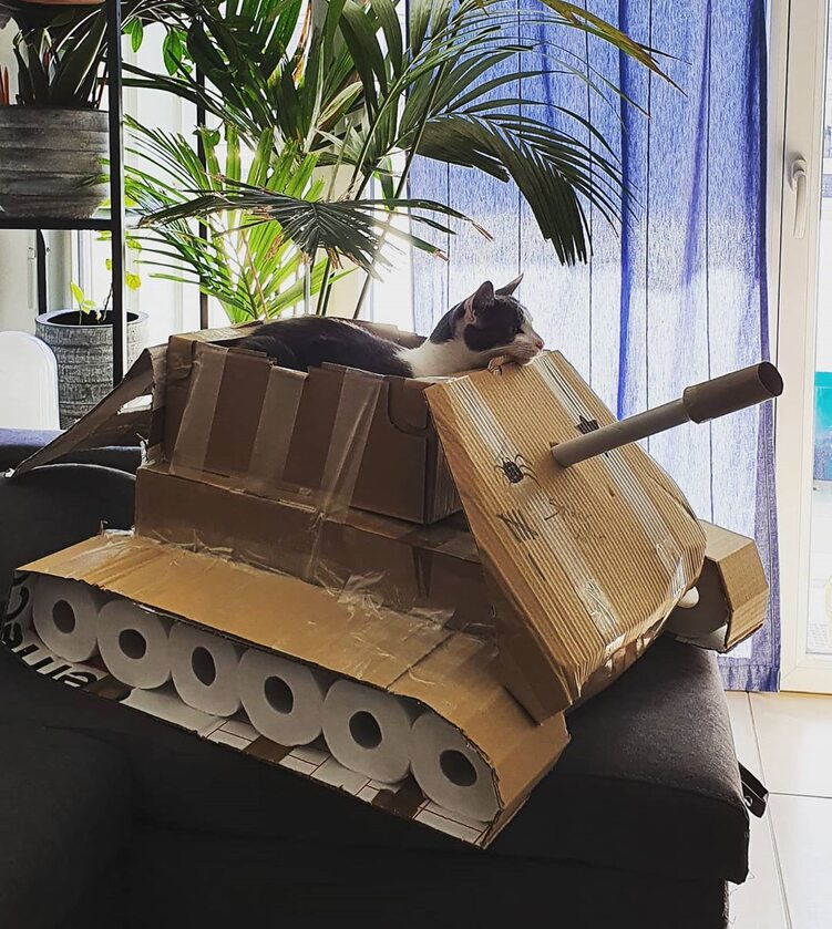 Kot w czołgu 