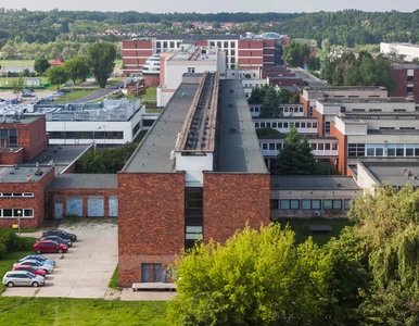 Miniatura: Profesor polskiej uczelni oskarżany o...