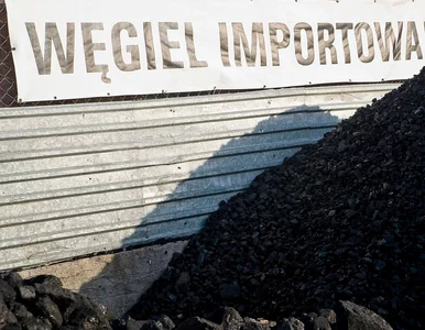 Miniatura: Co robić na składzie, gdy brakuje węgla?...