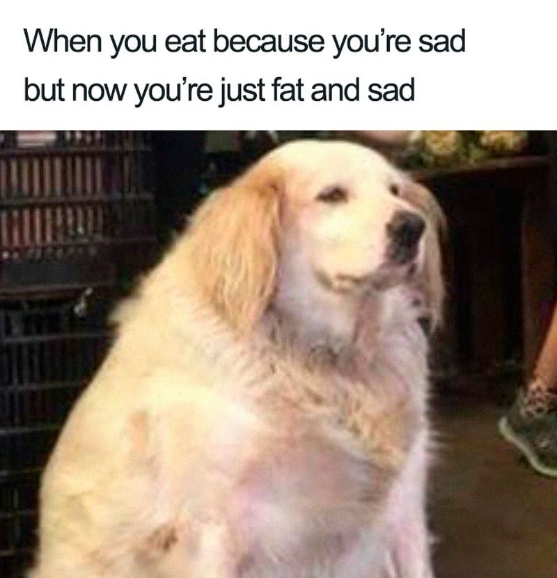 Kiedy jesz, bo jesteś smutny, ale teraz jesteś gruby i smutny 
