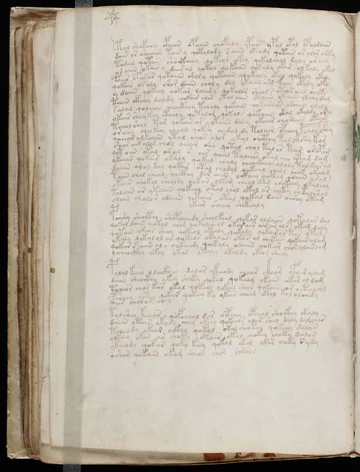 Strona z manuskryptu Wojnicza 