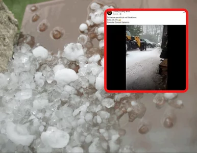 Miniatura: Burze z gradem w okolicy Zakopanego. Po...