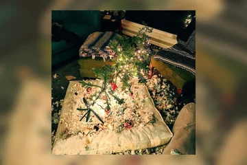 Choinka plus pies równa się katastrofa 