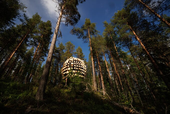 Biosphere, dom na drzewie z kompleksu Tree Hotel, proj. BIG