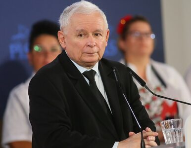 Miniatura: Kaczyński zapytany o „spiskowców” w PiS....