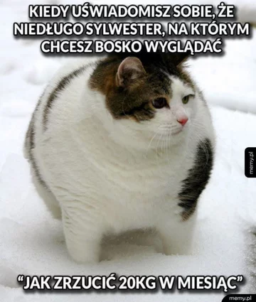 „Dietetyczne” memy 