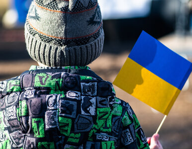 Miniatura: W takiej sytuacji 800 plus dla Ukraińców...