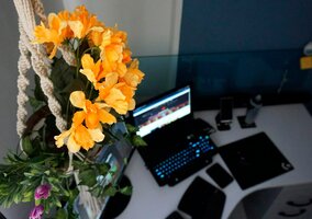 Miniatura: Szybki quiz ortograficzny na weekend....