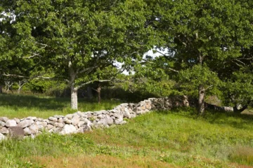 Red Gate Farm – posiadłość Jacqueline Kennedy Onassis na wyspie Martha’s Vineyard 