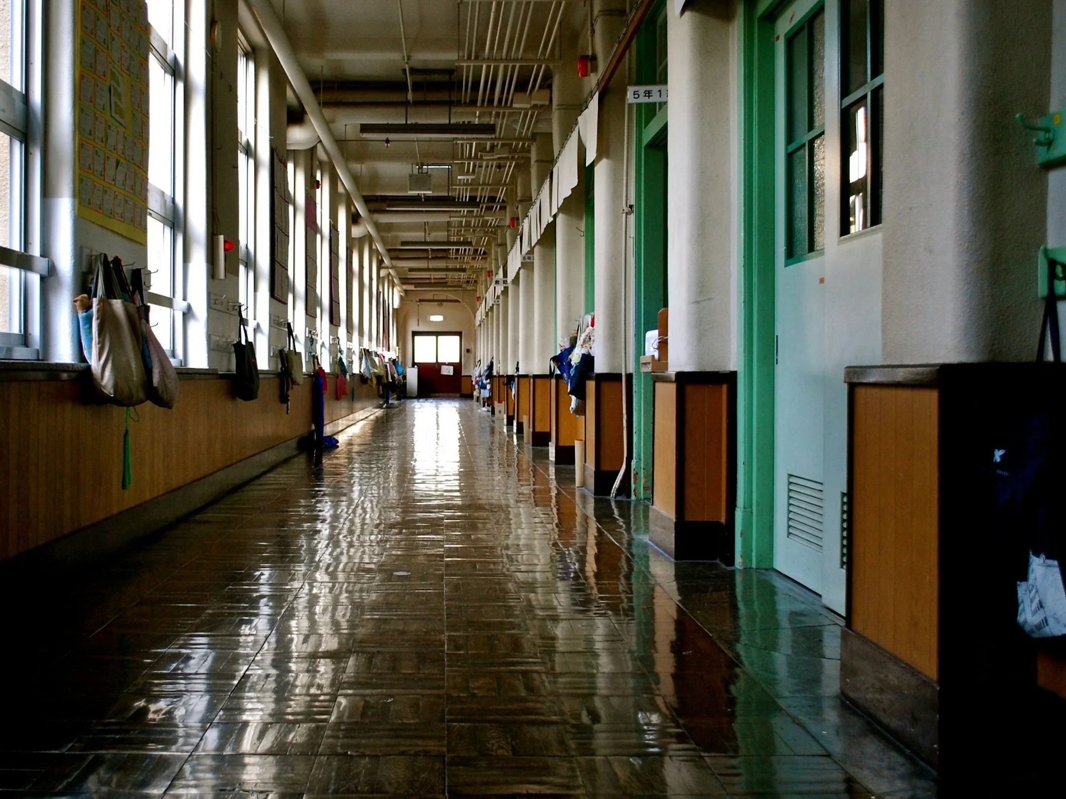 Prawda czy fałsz? 10 pytań na poziomie szkoły podstawowej