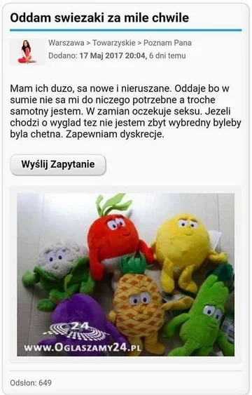 Internetowa oferta związana ze Świeżakami 