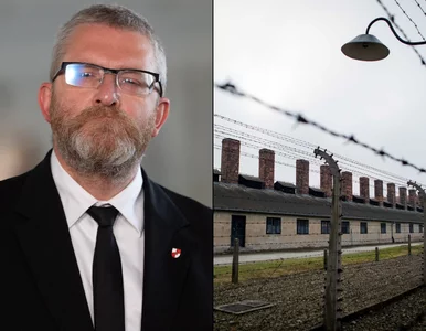 Miniatura: Braun zanegował Holokaust. Historyk nie...