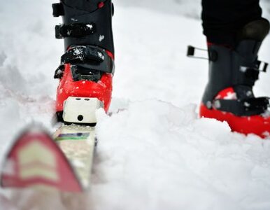 Miniatura: Narciarze w Norwegii będą mogli ścigać się...