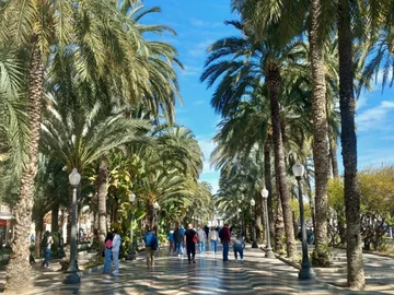 Paseo de la Explanada w Alicante 