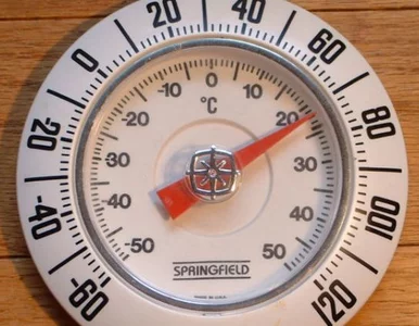 Miniatura: Politechnika Gdańska chce wiedzieć, jak...