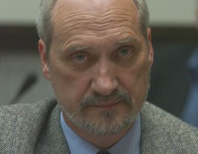 Miniatura: Macierewicz: Słowa Komorowskiego?...