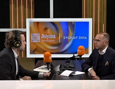 Miniatura: Skala afery wizowej. Szczerba podał...