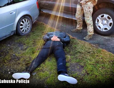 Miniatura: Eksplozja paczki w domu 31-latki w...