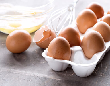 Co oznaczają numerki na skorupkach jajek?