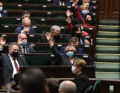 Miniatura: Sejm przegłosował ustawę o służbie...
