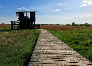 Ścieżka przyrodnicza Na Skraju Puszczy w miejscowości Granica 