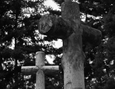 Miniatura: Ktoś zniszczył niemieckie groby z I wojny...
