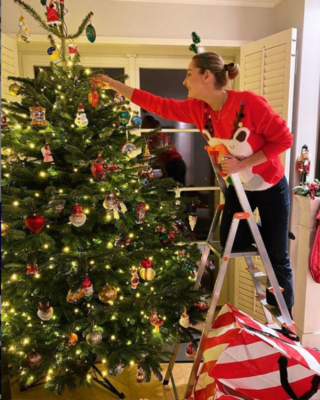 Miniatura: Gwiazdy pokazały swoje choinki i ozdoby....