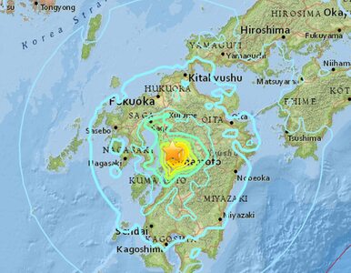 Miniatura: Silne trzęsienie ziemi w Japonii. Rośnie...