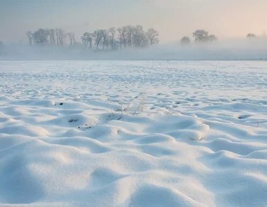 Miniatura: Wiadomo już, kiedy spadnie pierwszy śnieg....