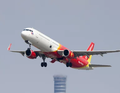 Miniatura: Tania linia lotnicza oferuje pasażerom...