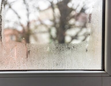 Miniatura: Okna parują między szybami? Skutek? Ciepło...