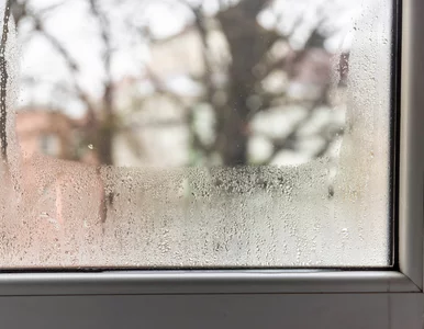 Miniatura: Okna parują między szybami? Skutek? Ciepło...
