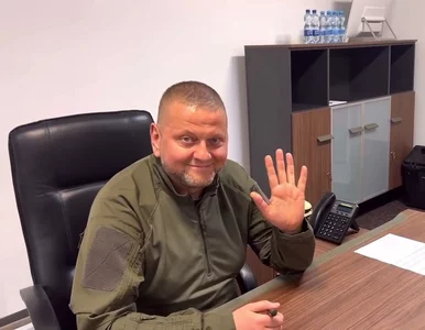 Miniatura: Już wiadomo, co dzieje się z Walerijem...