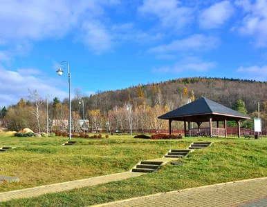 Miniatura: Wcale nie chodzi o tężnię. Polskie...