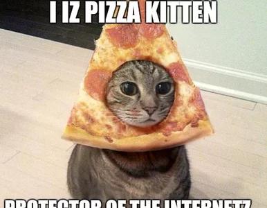 Miniatura: Jak internauci świętują światowy dzień...