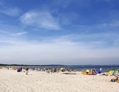 Miniatura: Nietypowa interwencja tuż przy plaży nad...