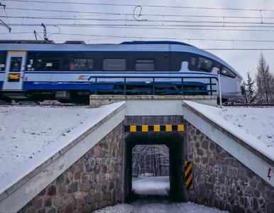 Miniatura: Pierwsza taka promocja w 2026 roku. Bilety...