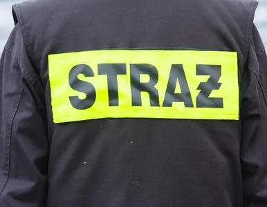 Miniatura: Krajowego Systemu Ratowniczo-Gaśniczego...