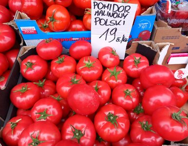 Miniatura: Pomidory są tańsze o 50 proc. Za ogórki...