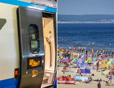 Miniatura: Polacy pobili rekord w PKP Intercity. Aż 3...
