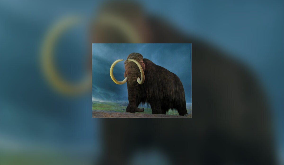 Grafika przedstawiająca mamuta 