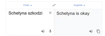 Tłumacz Google i fraza „Schetyna szkodzi” 