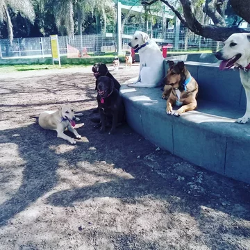 León Dario Sipes i jego podopieczni 