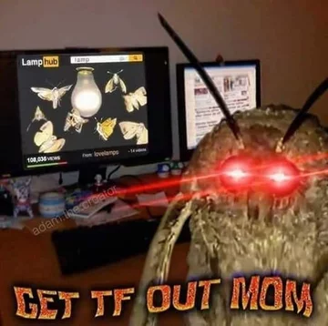 Mem z ćmą 
