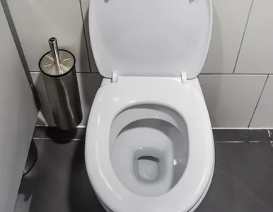 Miniatura: Zamiast szorować toaletę, wrzucam do niej...
